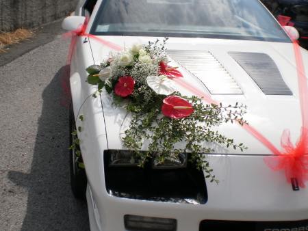 Fiorista Pedranzini - Auto Sposi