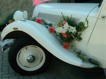 Auto Sposi Auto Sposi