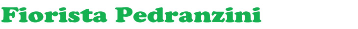 Pedranzini Renato Fiorista