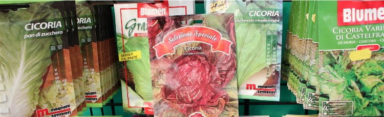 Fiorista Pedranzini