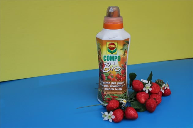 Fiorista Pedranzini - Sementi e Concimi